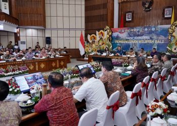 Wamen ATR/Waka BPN: RTR dan RDTR Jadi Kompas Pembangunan di Bali