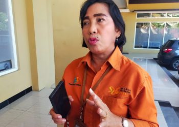 Ini Sejumlah Kendala Petugas Sensus Ekonomi 2026 di Sektor Usaha Besar
