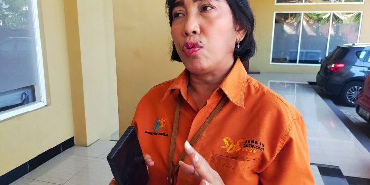 Ini Sejumlah Kendala Petugas Sensus Ekonomi 2026 di Sektor Usaha Besar
