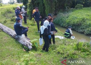 KLH Awasi Perusahaan Bahan Baku Cat di Manokwari