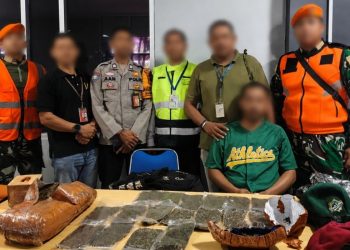 Petugas Bandara Sentani Gagalkan Penyelundupan Ganja Kering 2,6 Kg