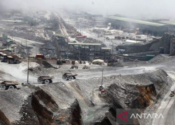 Freeport Proyeksi Kontribusi ke Negara Tembus Rp120 Triliun per Tahun