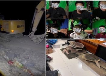 Polda Papua Barat Amankan 6 Excavator dan 5 Penambang Emas Ilegal di Waserawi