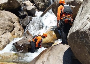 SAR Minta Masyarakat Tak Sebarkan Informasi Bukan dari Sumber Resmi