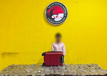 Bawa 5,4 Kg Ganja dari Jayapura, Wanita 24 Tahun Dibekuk di Atas Kapal