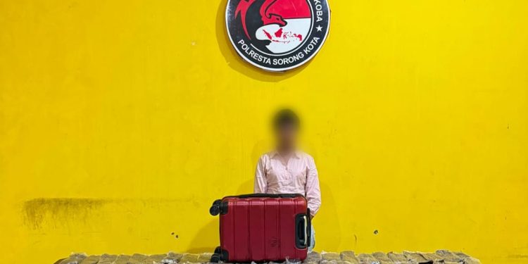 Bawa 5,4 Kg Ganja dari Jayapura, Wanita 24 Tahun Dibekuk di Atas Kapal