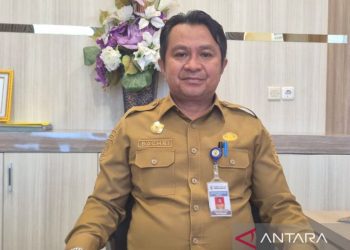 Penerimaan Relaksasi Pajak Kendaraan di Papua Barat Rp4,53 Miliar