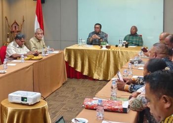 Kejar Target Tanam, Kementan Alokasi Cetak Sawah 3.369 Hektar di Papua Barat