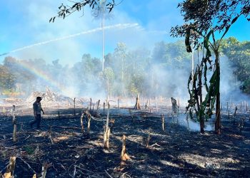 Cepat Tangani Kebakaran di Tiga Titik, Polres Teluk Bintuni Imbau Warga Hentikan Pembakaran Lahan