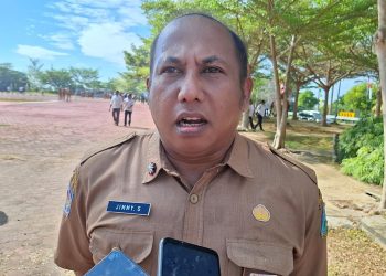 Dishut Papua Barat Terbitkan Surat Larangan Perdagangan Kayu Akar Kuning Tanpa Izin