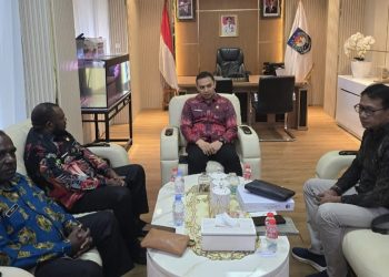 Bupati Mansel Audiens ke DJPK Kemenkeu: Dorong Percepatan Dana Otsus dan Tambahan DAU untuk Gaji Pegawai