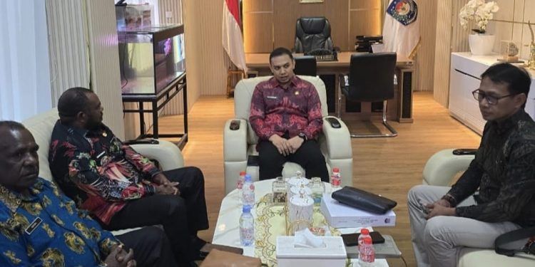 Bupati Mansel Audiens ke DJPK Kemenkeu: Dorong Percepatan Dana Otsus dan Tambahan DAU untuk Gaji Pegawai