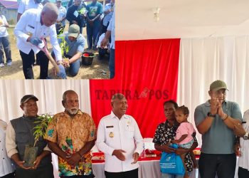 Sambut HUT RI Ke-81, Pemprov Papua Barat Gelar Baksos dan Penanaman Pohon di Susweni