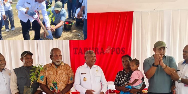 Sambut HUT RI Ke-81, Pemprov Papua Barat Gelar Baksos dan Penanaman Pohon di Susweni