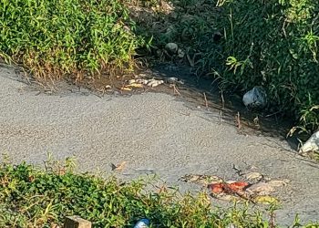 Warga Aimas Keluhkan Bau Busuk dan Dugaan Limbah Pabrik Tahu, DLH Sorong Janji Periksa Langsung ke Lokasi