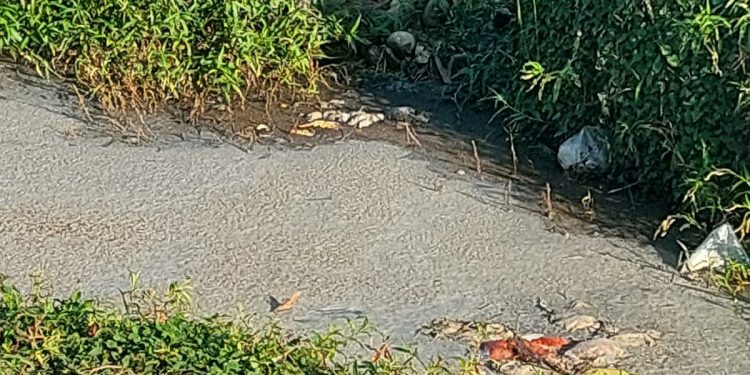 Warga Aimas Keluhkan Bau Busuk dan Dugaan Limbah Pabrik Tahu, DLH Sorong Janji Periksa Langsung ke Lokasi