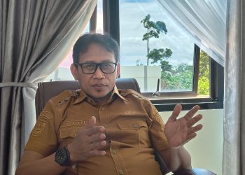 Pelaporan ProSN Pemkab Mansel Capai 90 Persen, Tinggal Penyelesaian Dokumen KDMP