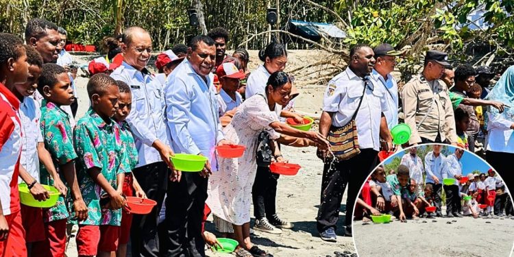 Pelepasliaran Tukik di Sibuni, Parorrongan: Sejalan dengan Visi Papua Barat
