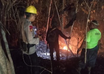 Kebakaran Lahan Melanda Sumuri Tanah Merah, Tim Gabungan Kerahkan Armada dan 40 Personel
