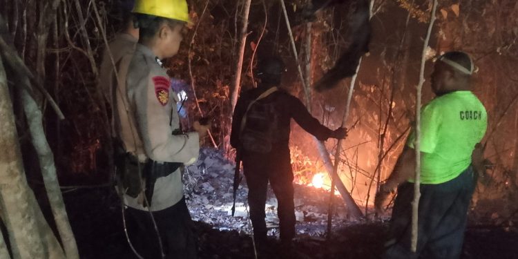 Kebakaran Lahan Melanda Sumuri Tanah Merah, Tim Gabungan Kerahkan Armada dan 40 Personel