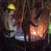 Kebakaran Lahan Melanda Sumuri Tanah Merah, Tim Gabungan Kerahkan Armada dan 40 Personel