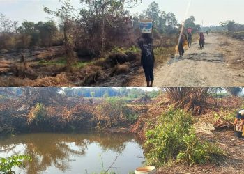 Krisis Air Bersih di Warmon Kokoda: Warga Terpaksa Minum Air Kubangan Rawa