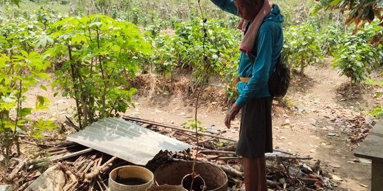Di Usia 98 Tahun,Tarwin Tetap Bertani Melawan Kekeringan di Bintuni