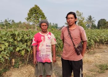 Kekeringan Melanda Bintuni Timur, Petani Minta Sumur Bor