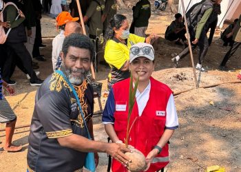 Sambut HUT Ke-81, PMI Papua Barat Tanam 250 Bibit Pohon di Pesisir Pantai Amban