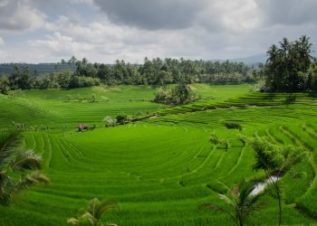 Lampaui Target, LP2B Capai 87,63% di Momen Peringatan 66 Tahun UUPA