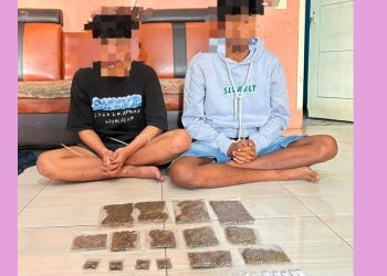 Bawa 162 Gram Ganja Lintas Wilayah, Dua Pemuda Diamankan Polres Maybrat di Aimas