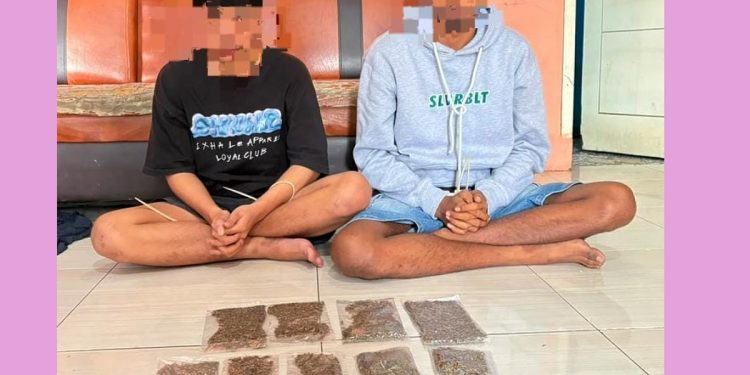 Bawa 162 Gram Ganja Lintas Wilayah, Dua Pemuda Diamankan Polres Maybrat di Aimas