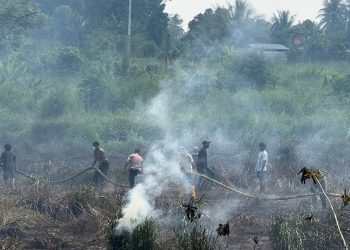Tiga Jam, Kebakaran Lahan di Manimeri Berhasil Dipadamkan