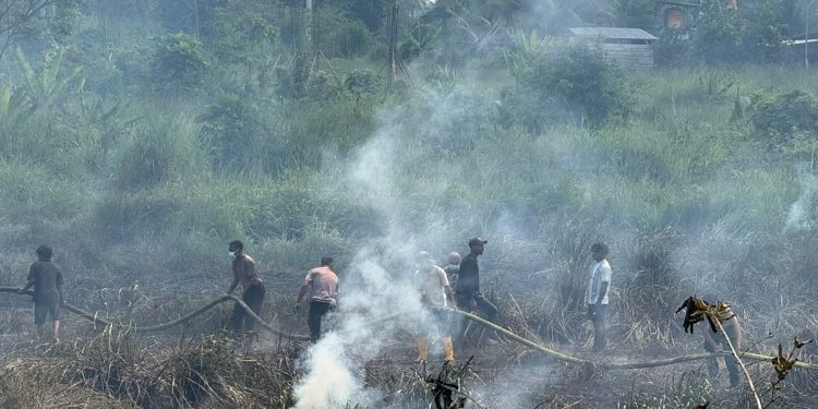 Tiga Jam, Kebakaran Lahan di Manimeri Berhasil Dipadamkan