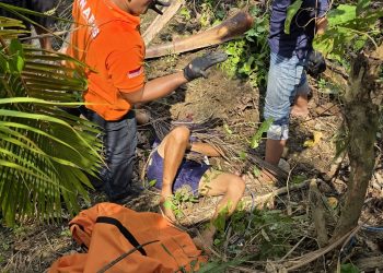 Beli Kelapa Muda Berujung Maut, Pria 57 Tahun Tewas Jatuh dari Pohon di Aimas