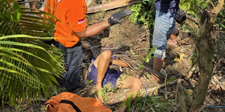 Beli Kelapa Muda Berujung Maut, Pria 57 Tahun Tewas Jatuh dari Pohon di Aimas
