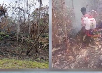 Karhutla Meluas Sepanjang Jalan Trans Papua Barat, Warga Minta Pemprov-Pemkab Ambil Tindakan Nyata