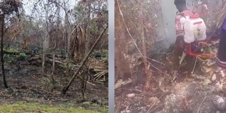 Karhutla Meluas Sepanjang Jalan Trans Papua Barat, Warga Minta Pemprov-Pemkab Ambil Tindakan Nyata