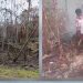 Karhutla Meluas Sepanjang Jalan Trans Papua Barat, Warga Minta Pemprov-Pemkab Ambil Tindakan Nyata