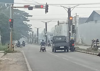 Kabut Asap Meluas, IDI Ingatkan Warga Waspadai Gangguan Kesehatan