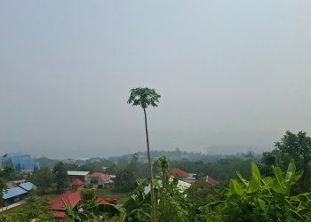 Kabut Asap di Papua Barat Kiriman dari Papua Selatan dan Papua Nugini: BPBD Upayakan Skema OMC