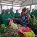 Widia Sunandar Pimpin Persit Borong Hasil Kebun, Dukung Ekonomi Mama-Mama Papua