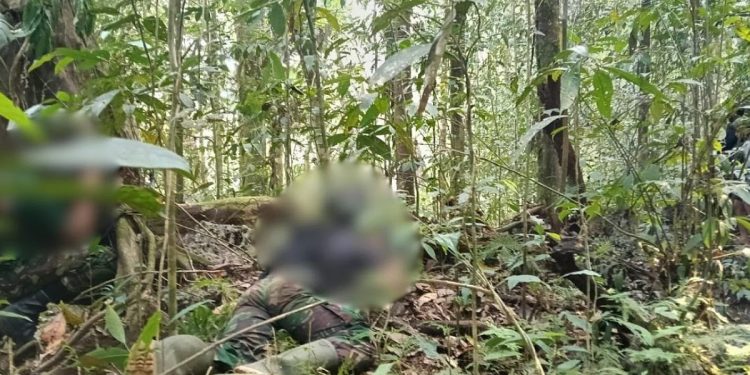 Kontak Tembak di Maybrat, Tiga Anggota OPM Kodap IV/Sorong Raya Dilaporkan Tewas