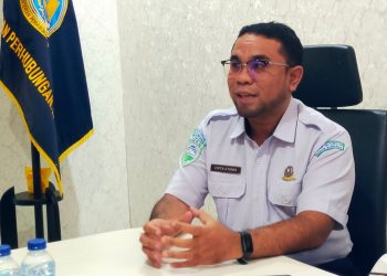 BMKG Sebut Kabut Asap di Manokwari Kiriman dari Kebakaran di Papua Selatan