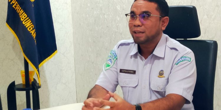 BMKG Sebut Kabut Asap di Manokwari Kiriman dari Kebakaran di Papua Selatan