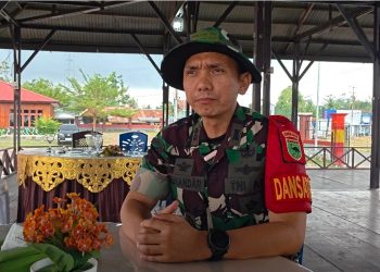 Dandim 1808/Mansel Urai Sasaran TMMD ke-130 di Yamboi