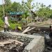 Di Tengah Lumpur dan Genangan Air, Satgas TMMD dan Warga Yamboi Tetap Semangat Bangun Jembatan