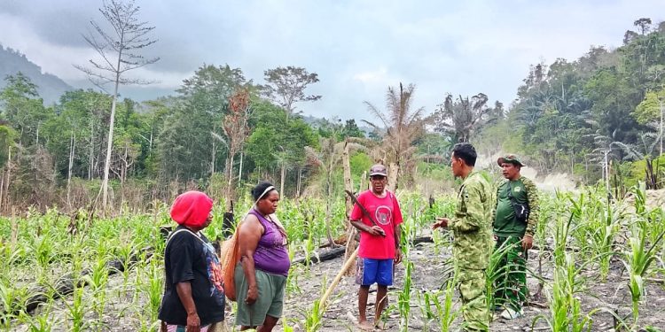 Dorong Kemandirian Pangan, Satgas TMMD Dampingi Petani Yamboi