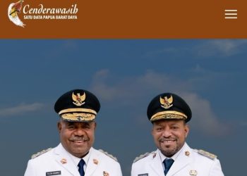 Portal Cenderawasih PBD Belum Optimal untuk Monitoring Real-Time