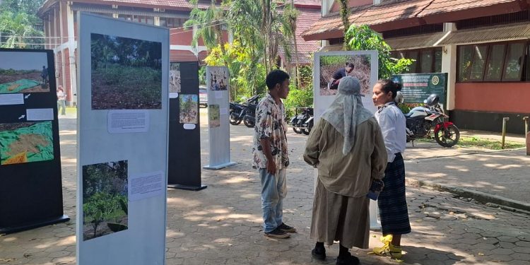 Potret Ekonomi Restoratif Kampung Mubraidiba dan Dindey Dipamerkan di Unipa